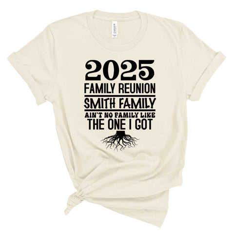 Custom Family Reunion 06